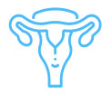 Gynaecology
